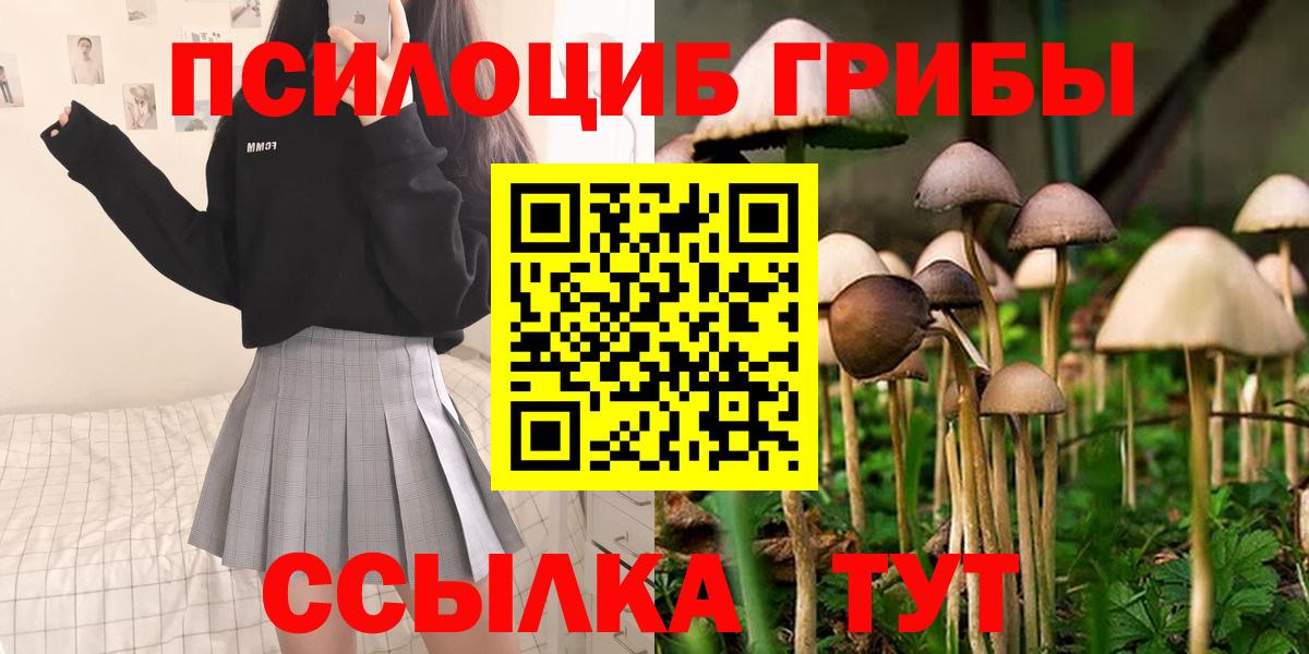 Гусиноозёрск  Галлюциногенные грибы Psilocybe  Вход с VPN 